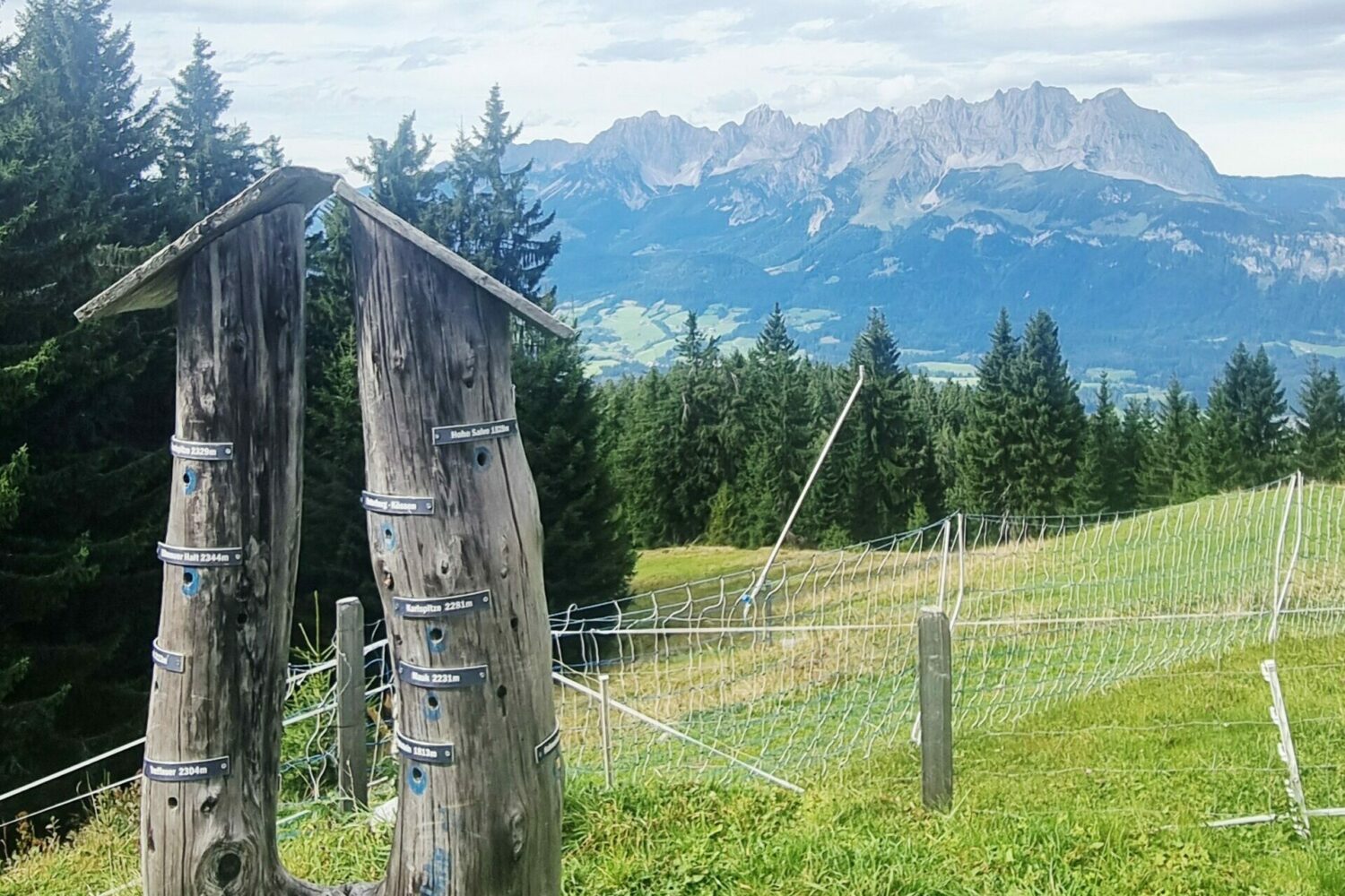 14Aussicht genießen Team2-teamevent-2025 14aussicht genießen team2