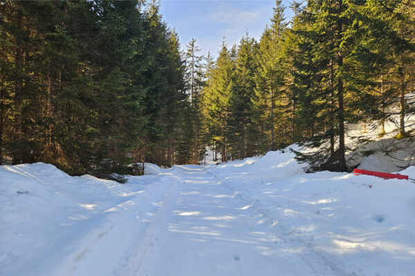 planemos-blog-img-wandergruppe-1 Planemos blog img wandergruppe