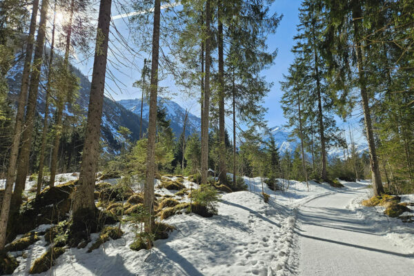 planemos-blog-img-wandergruppe-2 Planemos blog img wandergruppe